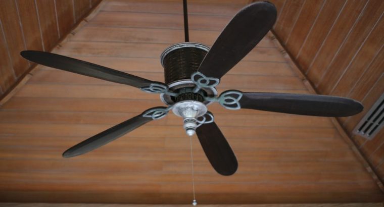 Ceiling Fan Replacement