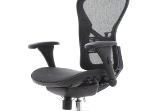 Ergotrend CHARM-01BMM with Headrest (CHARM-01BMM with Headrest)