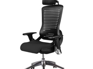 Ergotrend CP5 (Size L) with Headrest (CP5 (Size L) with Headrest)